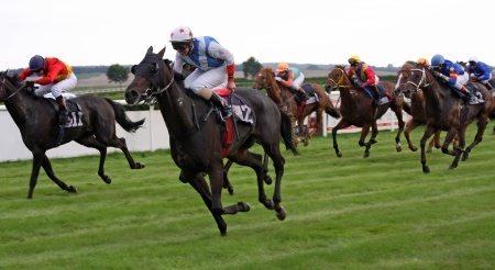 Bovada Preakness Stakes Odds